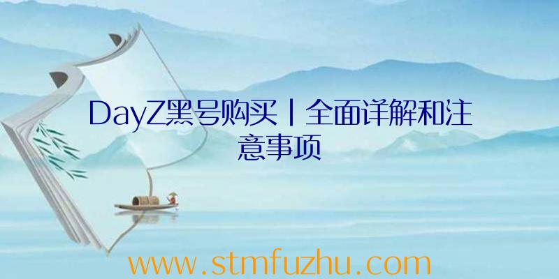DayZ黑号购买|全面详解和注意事项
